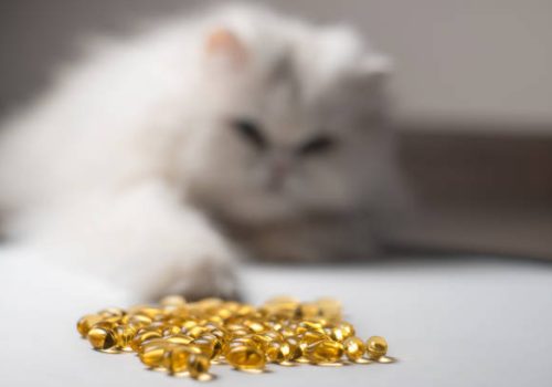 Human Grade Omega 3 For Pet