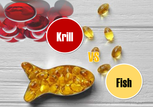 Fish Oil and Krill Oil